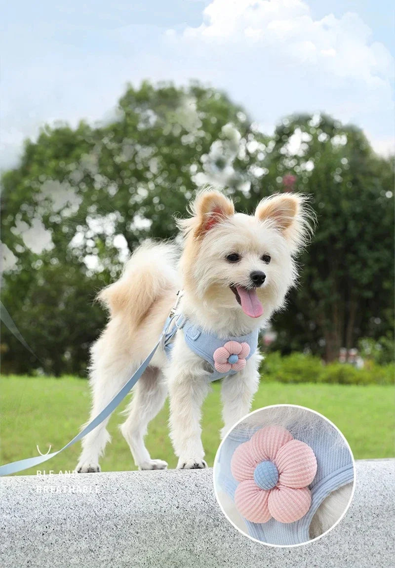 Pet vest traction rope dog cartoon three-dimensional accessories Teddy walking dog rope cat going out chest and back protection