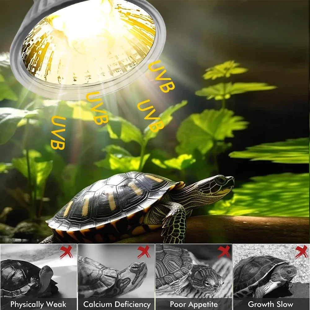 5/1PCS UVB Reptile Heating Lamp Bulb Turtle Basking Promoting Pet Growth Lamp High Quality Sunlamp for Amphibians 25/50/75W