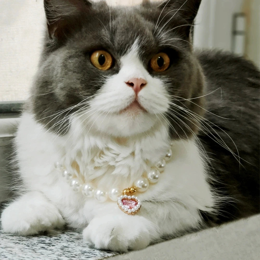 Cat Collar Decoration Pet Cute Exquisite Jewelry Kitten Adjustable Chain Cat Necklace High Simulation Pearls Pet Supplies