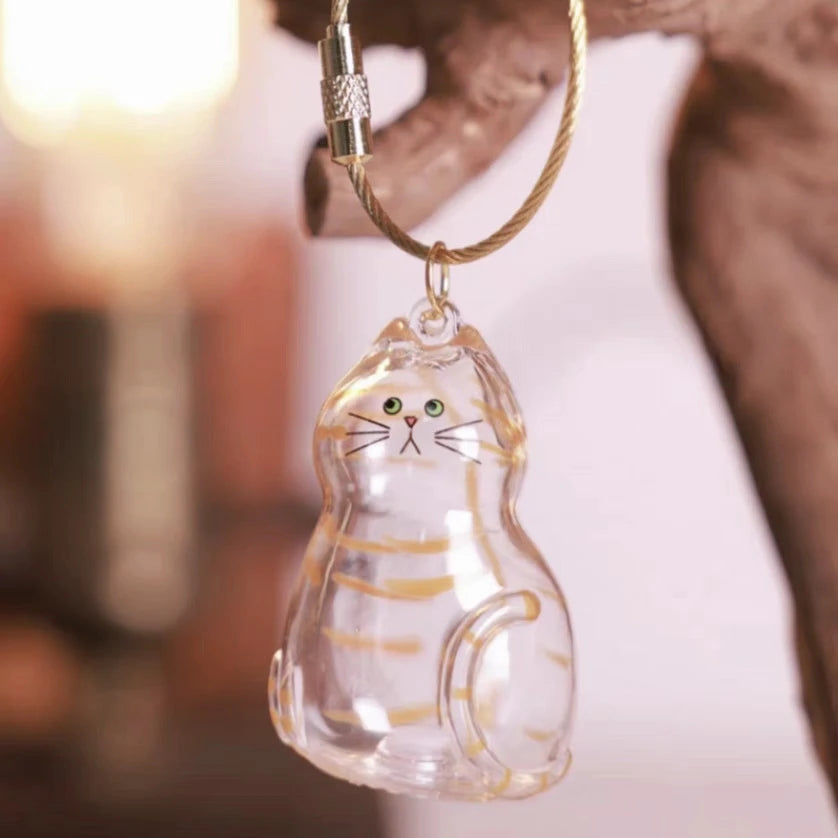 Stylish Cat Key Holder Fluffy Ball Hair Collector Transparent Case Fashionable Pet Accessories for Kitty Owners