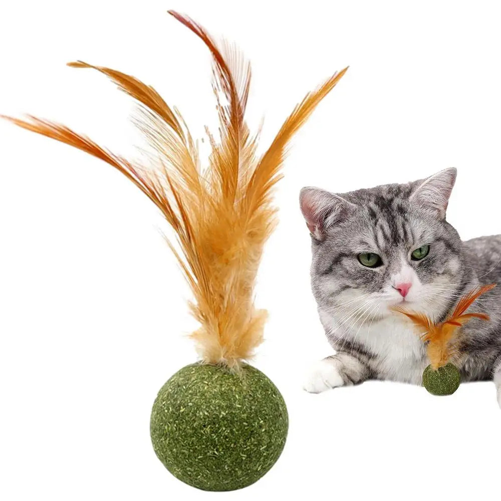 Natural Catnip Feather Balls Lickable Cat Grass Snack Kitten Scratchers Toy Treats Chewing Fresh Breath Cat Toys Cat Treats