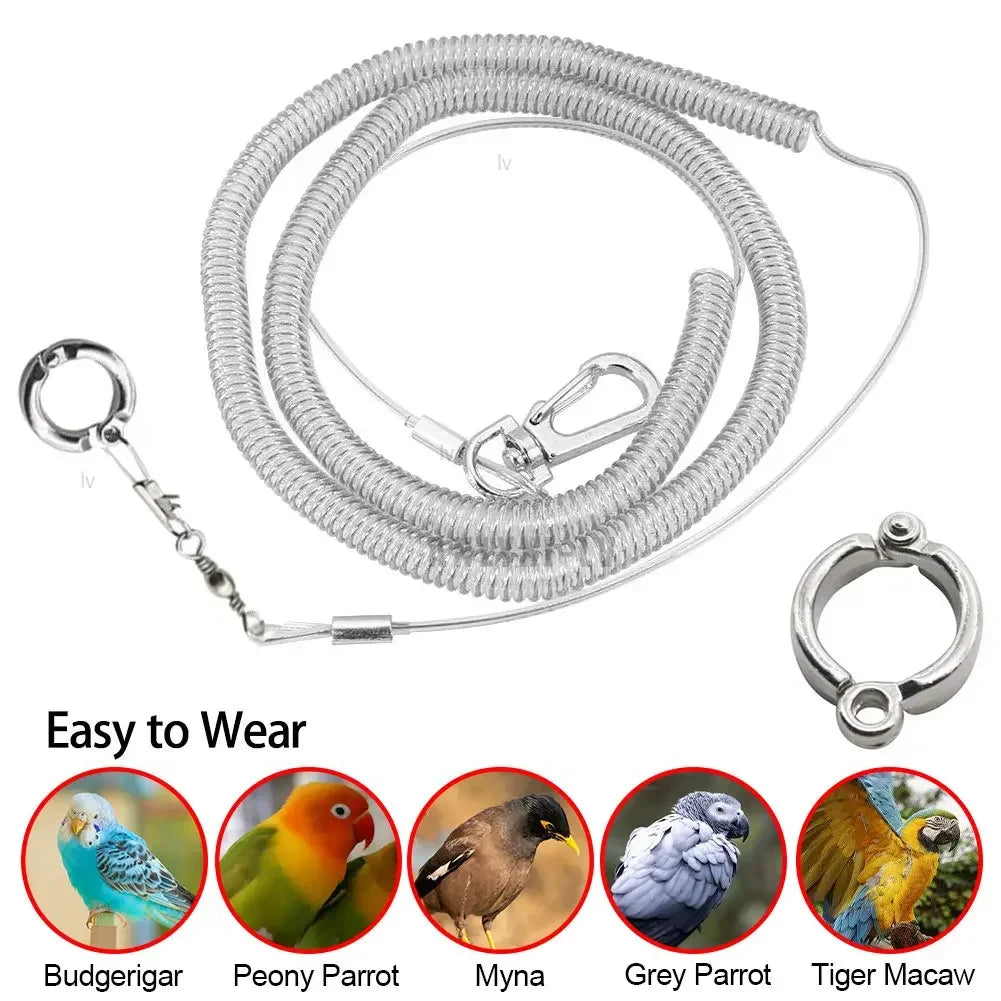 3/6m Bird Foot Chain Parrot Anti-flying Traction Rope Bird Feet Bracelet Alloy Foot Ring Pet Bird Flying Travel Training Leash