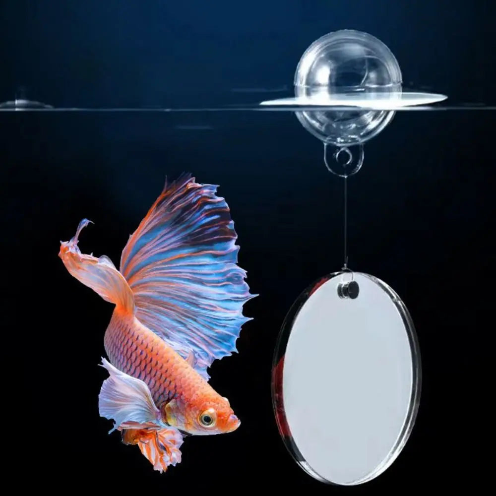 Betta Training Mirror Fish Tank Decorations Double Sided Betta Mirror Models Doll House Plastic Aquarium FishTank Ornaments