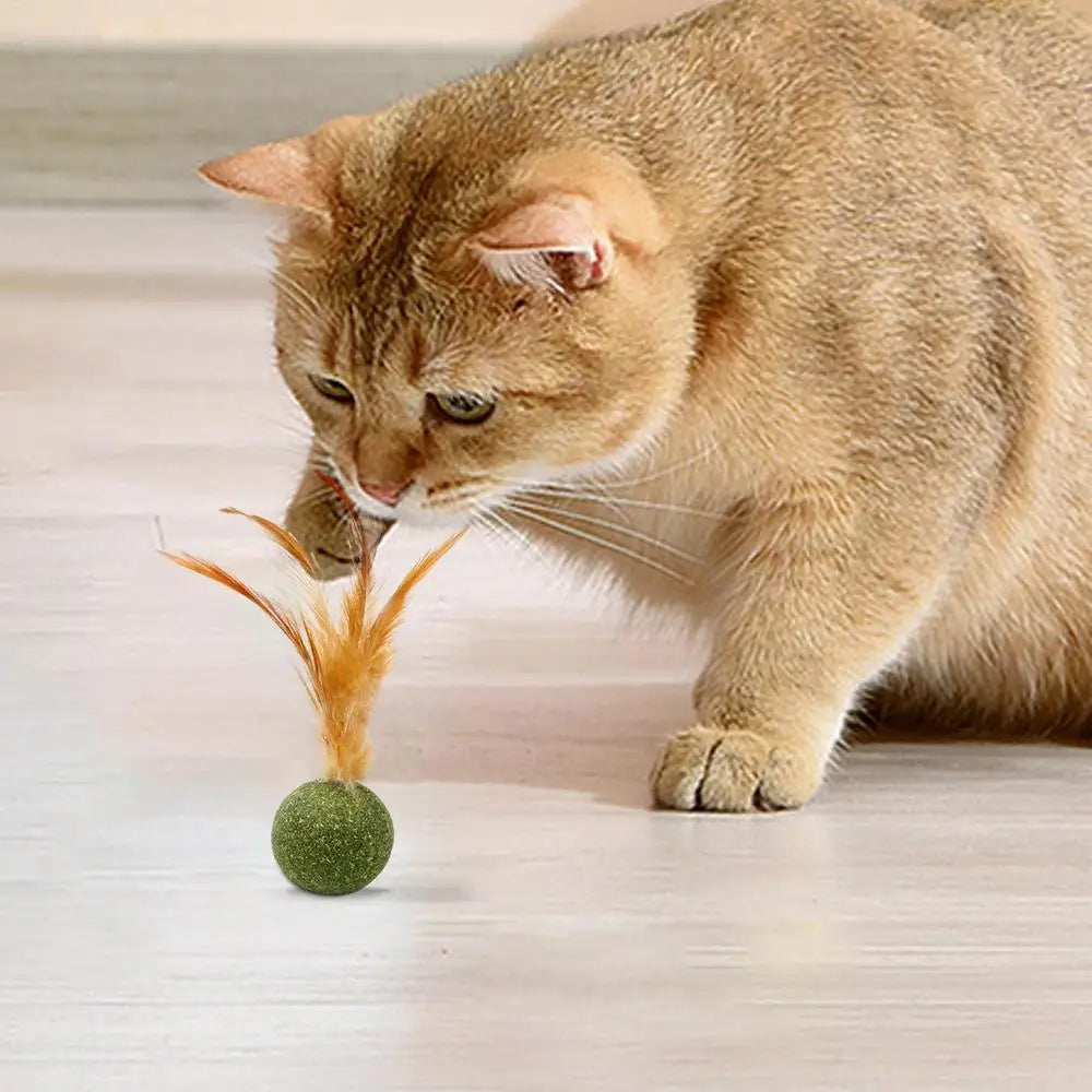 Natural Catnip Feather Balls Lickable Cat Grass Snack Kitten Scratchers Toy Treats Chewing Fresh Breath Cat Toys Cat Treats