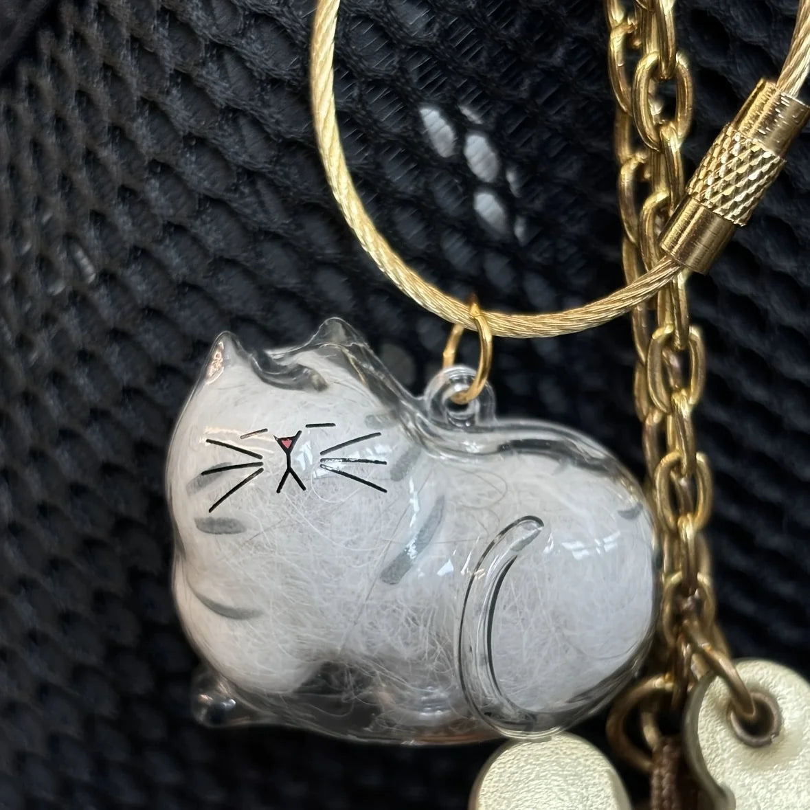 1/3pcs Transparent Cat Memorial Capsules Pet Hair Keepsake Box with Hanging Loop for Cat Lovers Gift Pendant Keychain Pet Access