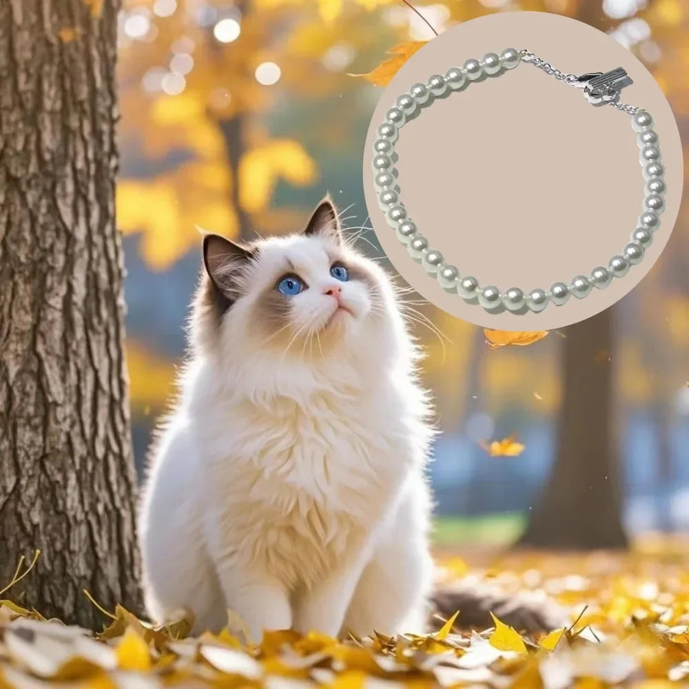 Cat Jewelry Accessories New Style Sweet Bracelet Women's Charm Jewelry Decoration Commemorative Day Gift
