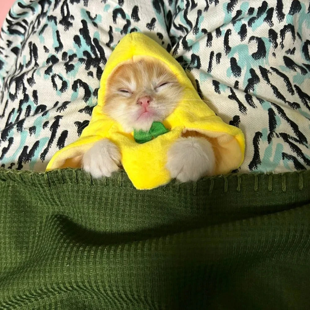 Banana Cat meme Mini Headset Cute Cat Prop Hat Banana Cat Kitten Pet Bowknot Clothing Cute Accessories