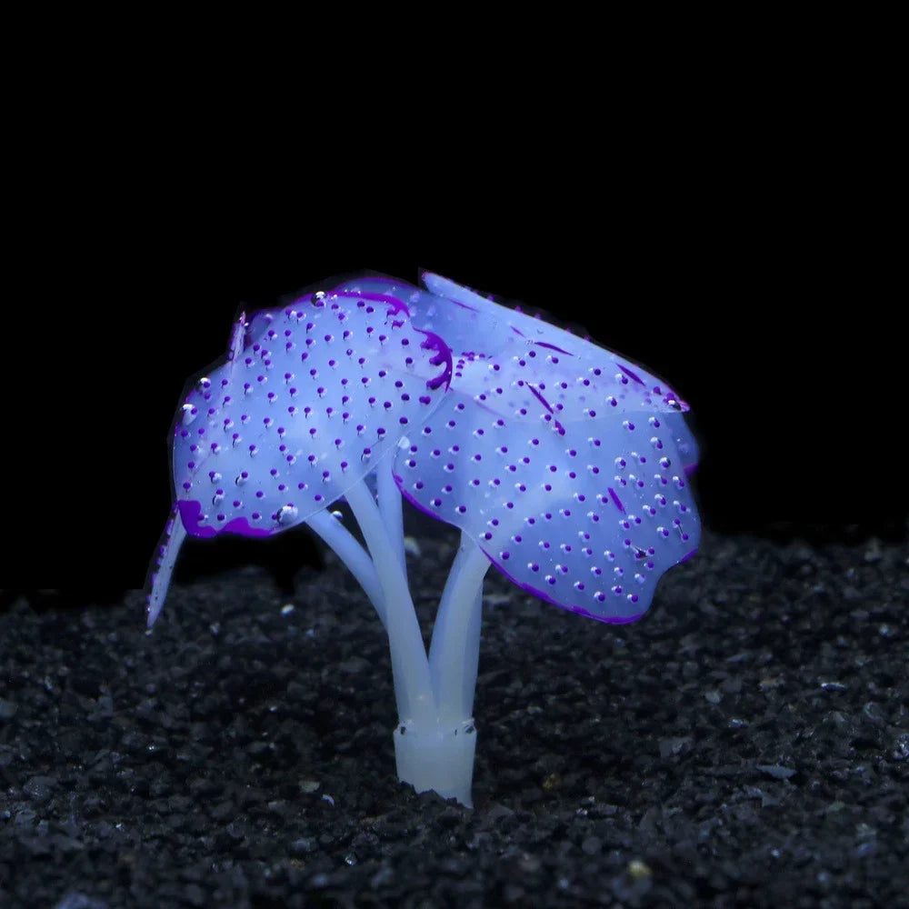 Luminous Anemone Simulation Artificial Plant Aquarium Decor Plastic Underwater Weed Grass Aquarium Fish Tank Decoration Ornament