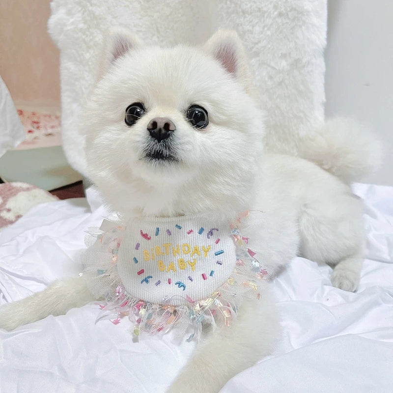 Pet Cat Dog Birthday Party Lace Suit Hat Scarf Dog Bib Saliva Towel Mesh Series Bear Birthday Jewelry Dress Up Accessories
