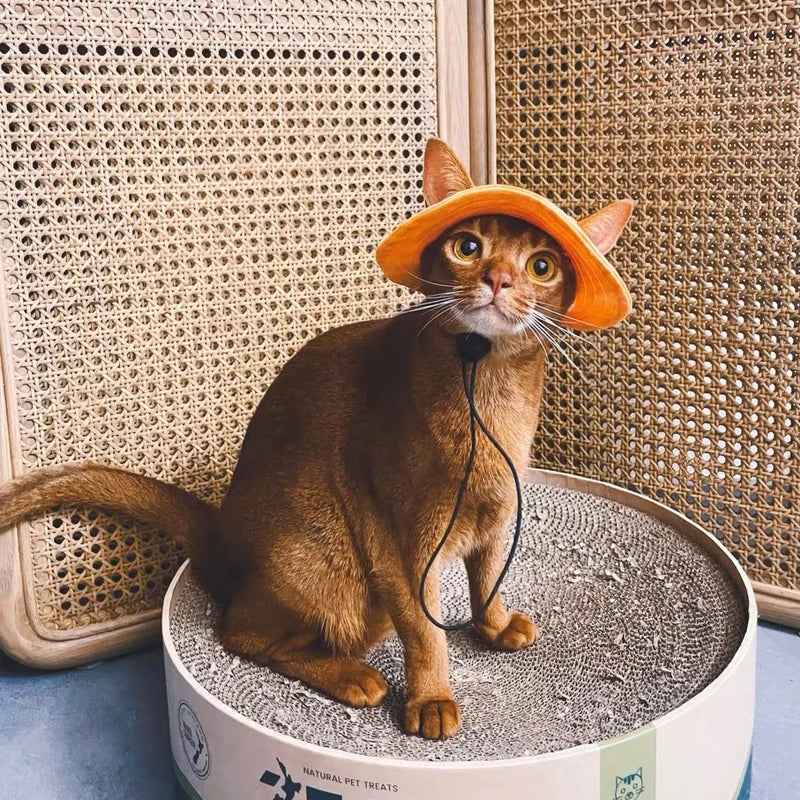 Cotton Cat Hat With Ear Holes For Sphynx Sphinx Hairless Cats Kitten Devon Rex Sunscreen Travel Hiking Tie Dye Adjustable Hats