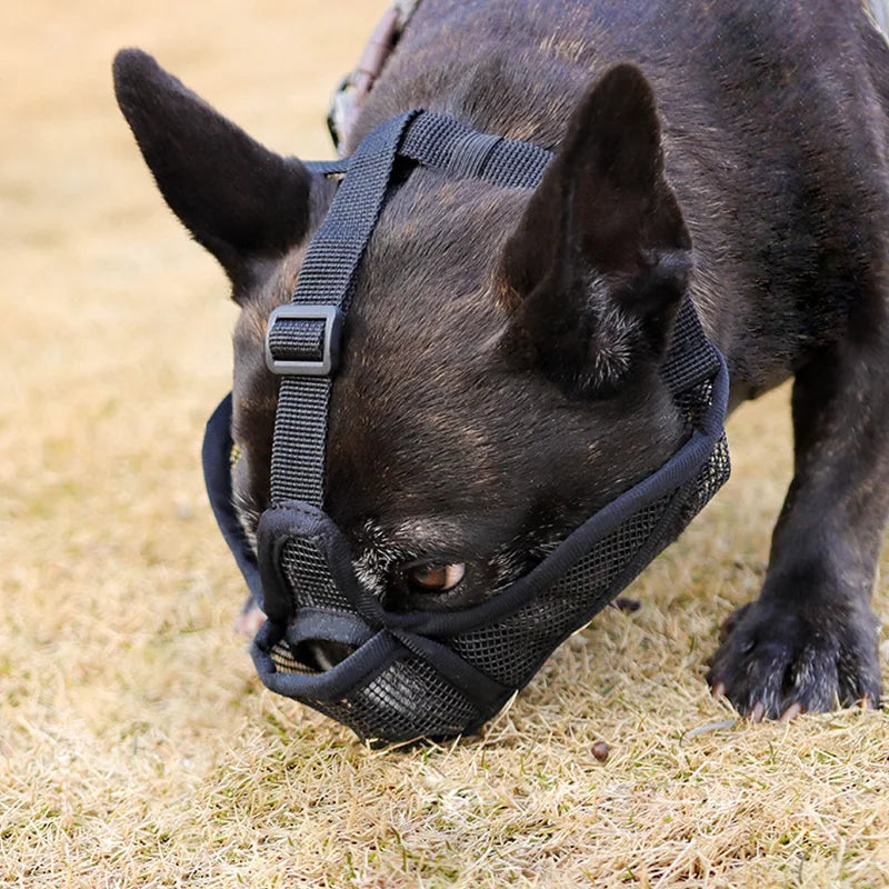 Adjustable Pet Dog Muzzle Breathable Pet Mouth Mask for Small Medium Large Dogs French Bulldog Anti-biting Muzzle Dog Accessory