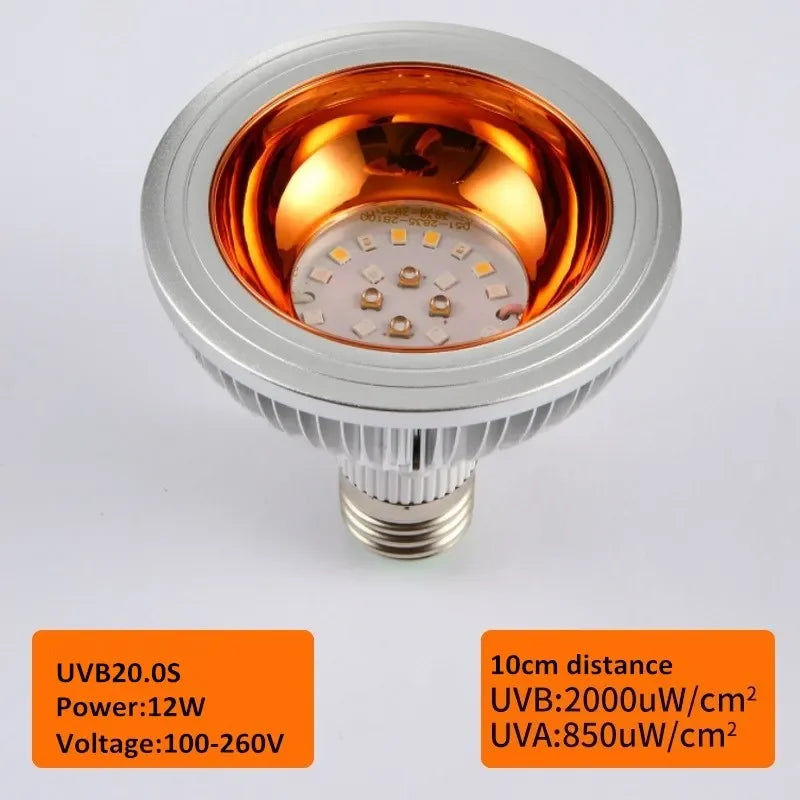Reptile UVA+UVB Lamp Bulb Turtle Basking UV Light Bulbs Heating Lamp Lizard Bearded Dragon Terrarium Temperature Controller