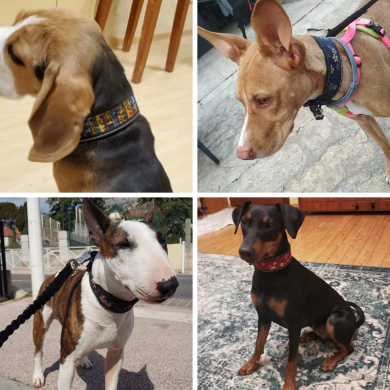 Fashion Big Dog Collar Reflective Adjustable Pet Collars for Small Medium Large Dogs German Shepherd Whippet Pets Accessories