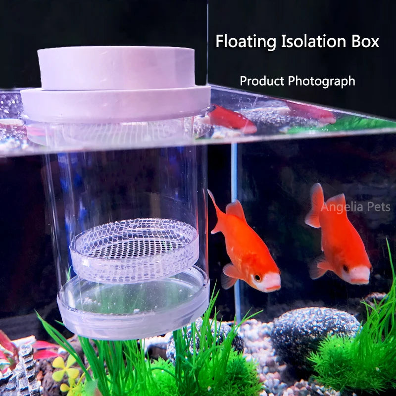 Plastic Floating Fish Breeding Isolation Box Aquarium Breeder Feeder Fish Tank Hatching Incubator Aquarium Hatchery Accessoies