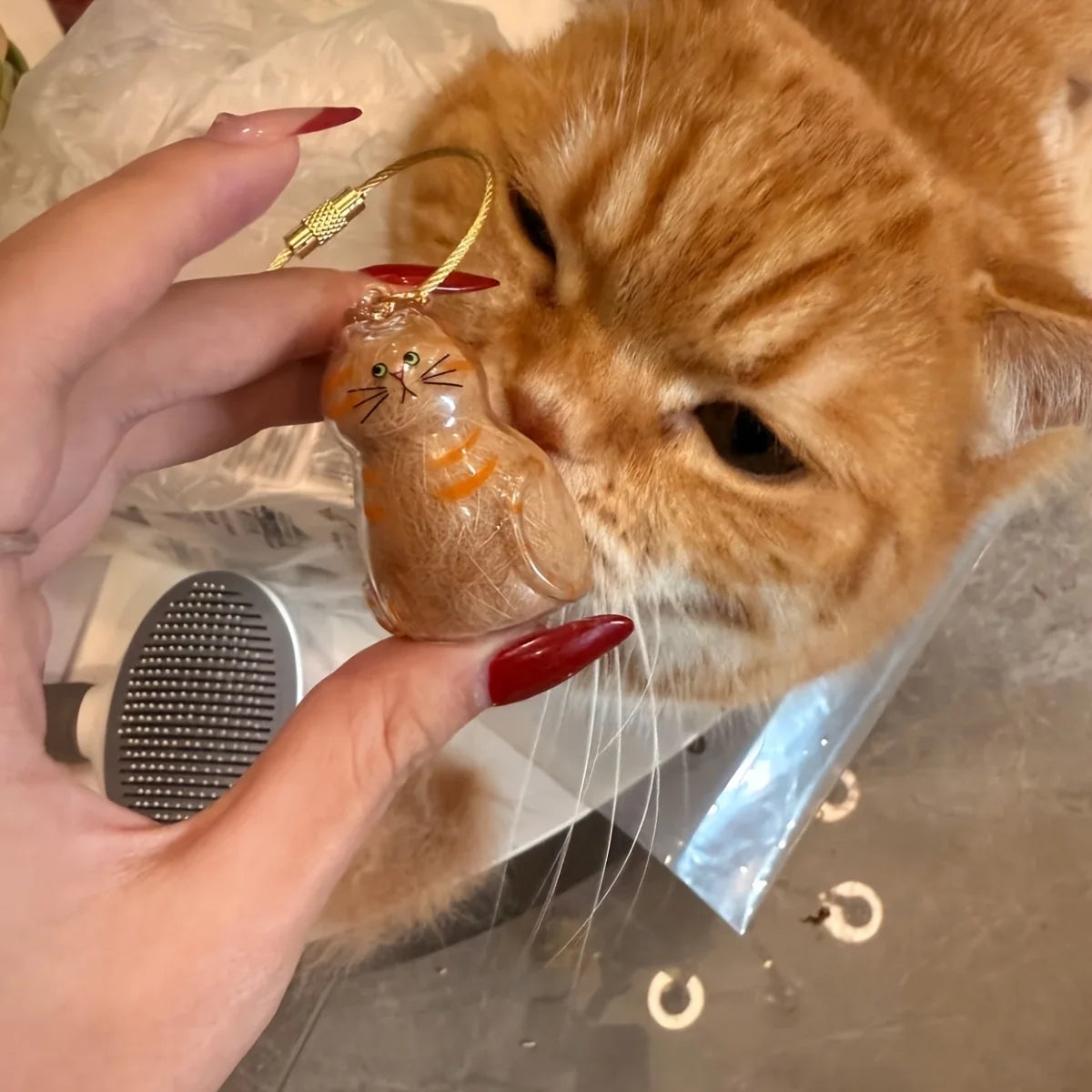 1/3pcs Transparent Cat Memorial Capsules Pet Hair Keepsake Box with Hanging Loop for Cat Lovers Gift Pendant Keychain Pet Access