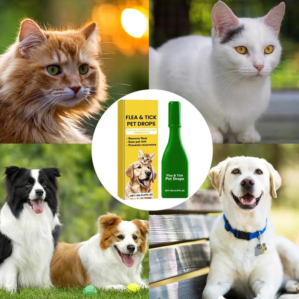 Pet Dogs Cat Vitro Drops Pet External Drops Anti Flea Drops Long Lasting Tick Removal Tool Comfortable Tick Liquid for Cats