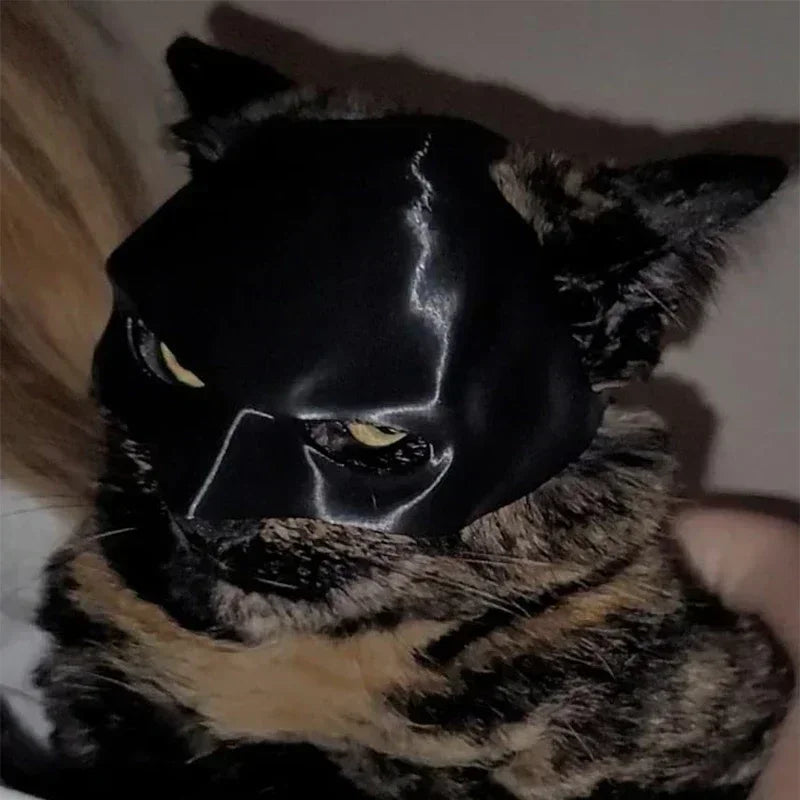 Cat Face Cushion Bat Cosplay Hat Spooky Halloween Atmosphere Prop Plastic Black Make-up Half Mask Party
