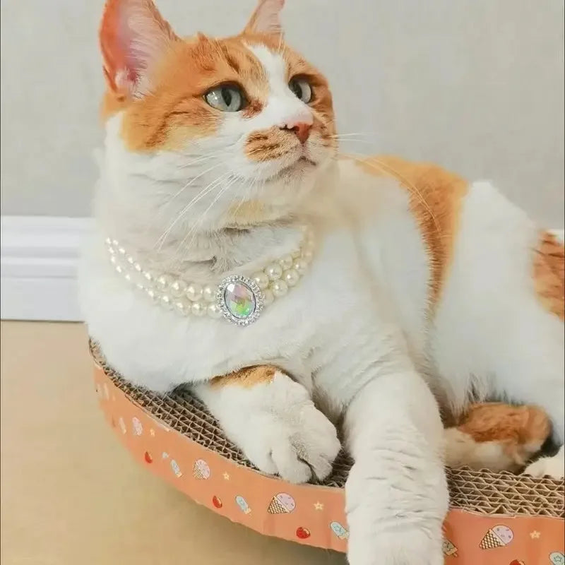 Cat Collar Decoration Pet Cute Exquisite Jewelry Kitten Adjustable Chain Cat Necklace High Simulation Pearls Pet Supplies
