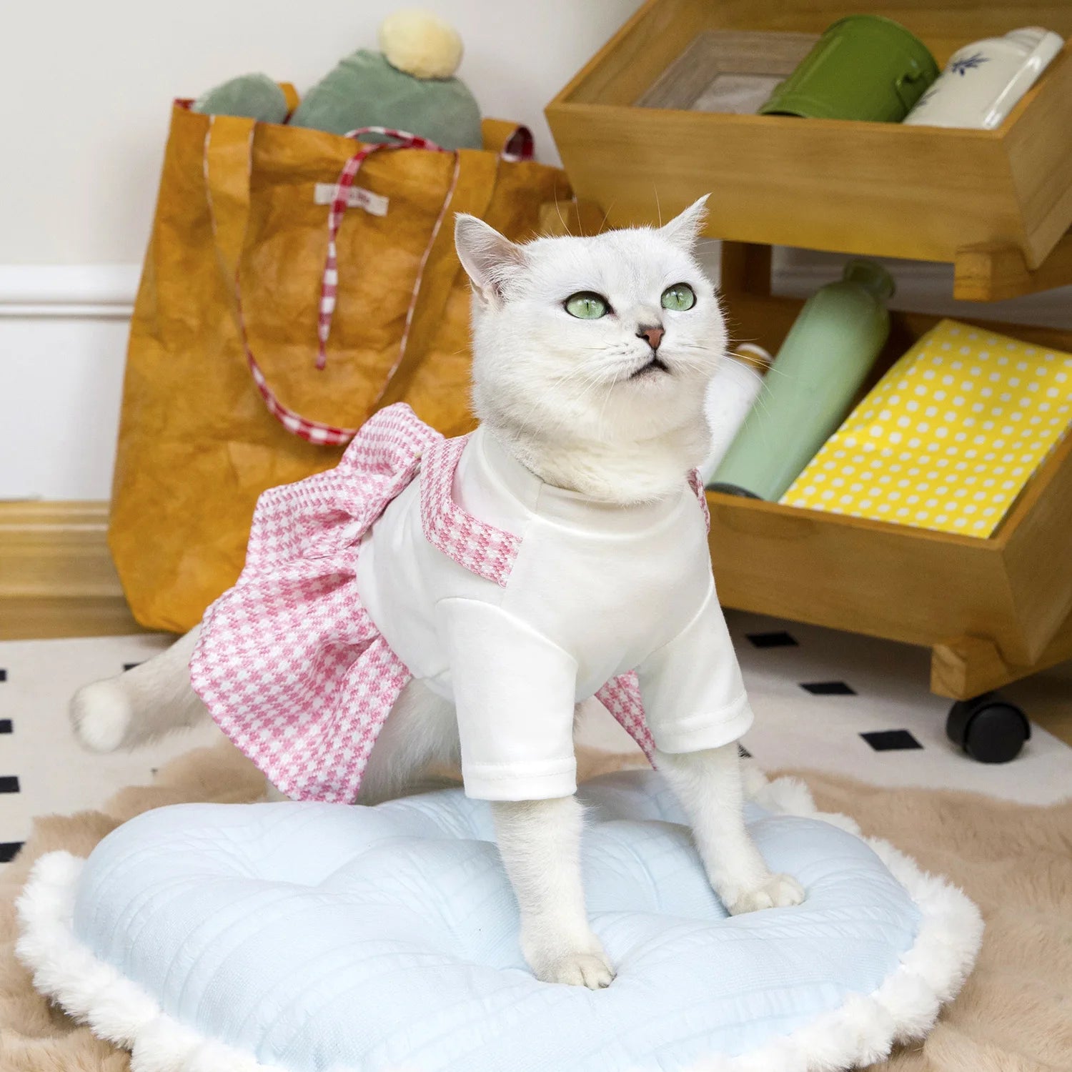 Spring Dog Cat Clothes for Cats, Luxury Brand Design Pet Cat Overalls Dress Puppy Princess Tutu Skirts Small Dog Kitten Costume