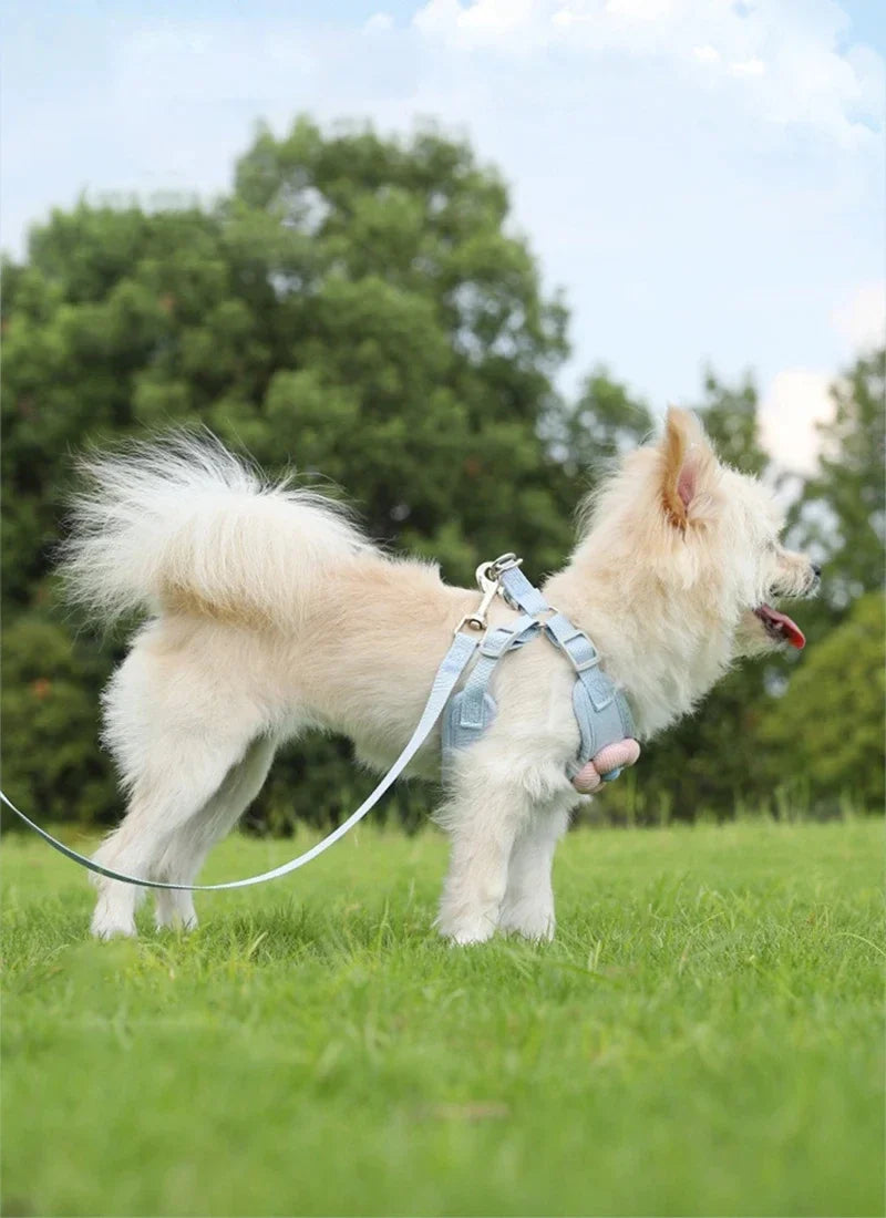 Pet vest traction rope dog cartoon three-dimensional accessories Teddy walking dog rope cat going out chest and back protection