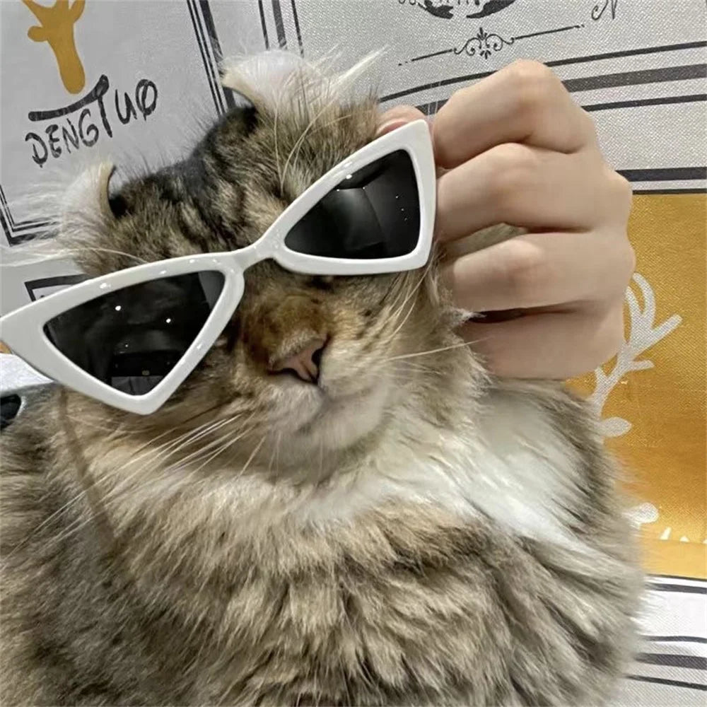Personalise Sphynx Sunglasses Pet Accessories for Cats Puppy Kitten Goggles Windproof Glasses Pet Outdoor Traveling Supplies