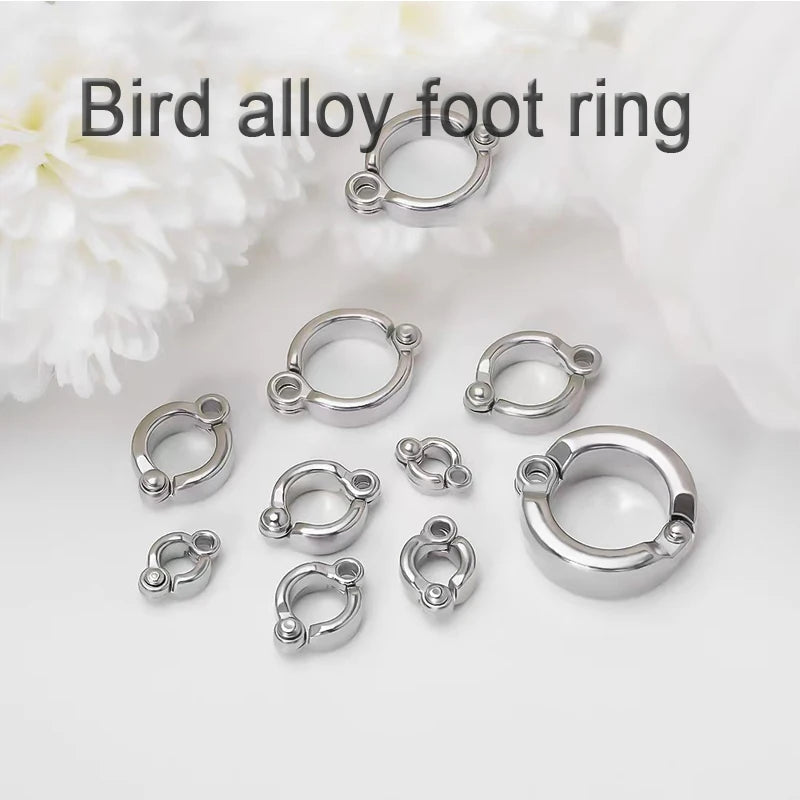 Parrot Leg Ring Stainless Steel Pet Bird Leg Ring Outdoor Flight Training Activity Anti Loss Open Leg Ring Foot Ring Chain