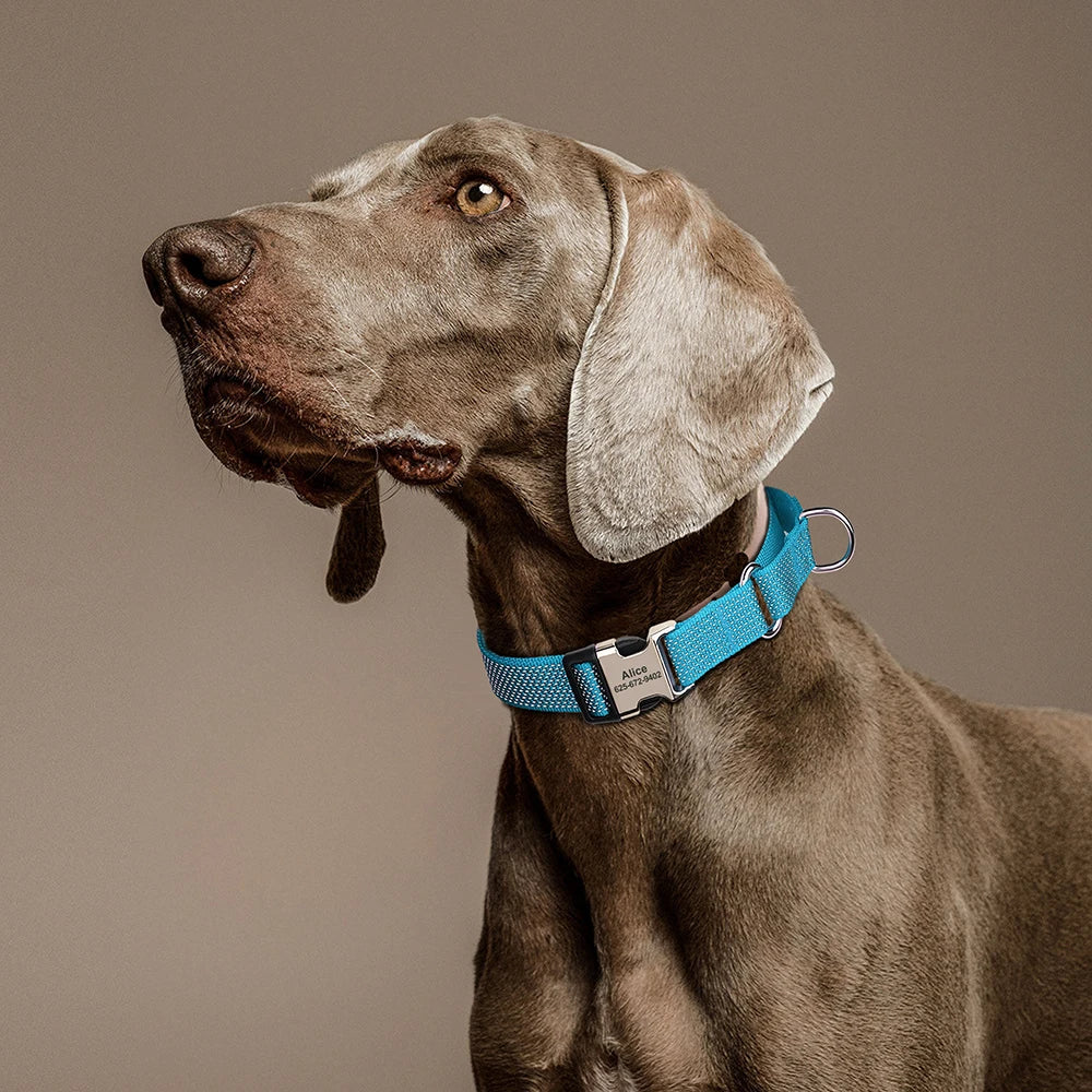 Custom Dog Martingale Collar Nylon Reflective Dog Collars With Engraving Metal Buckle Adjustable For Dogs Prevent Slipping Out