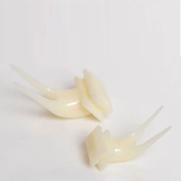 Delysia King Bird Fruits Feeding Fork
