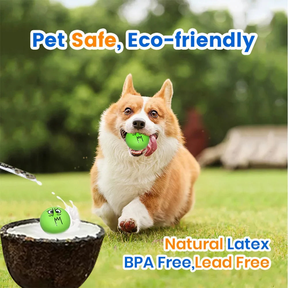 6pcs Latex Dog Squeaky Toys Rubber Soft Dog Toys Chewing Squeaky Toy Fetch Play Balls Toy for Puppy Small Pets Dog Accessories