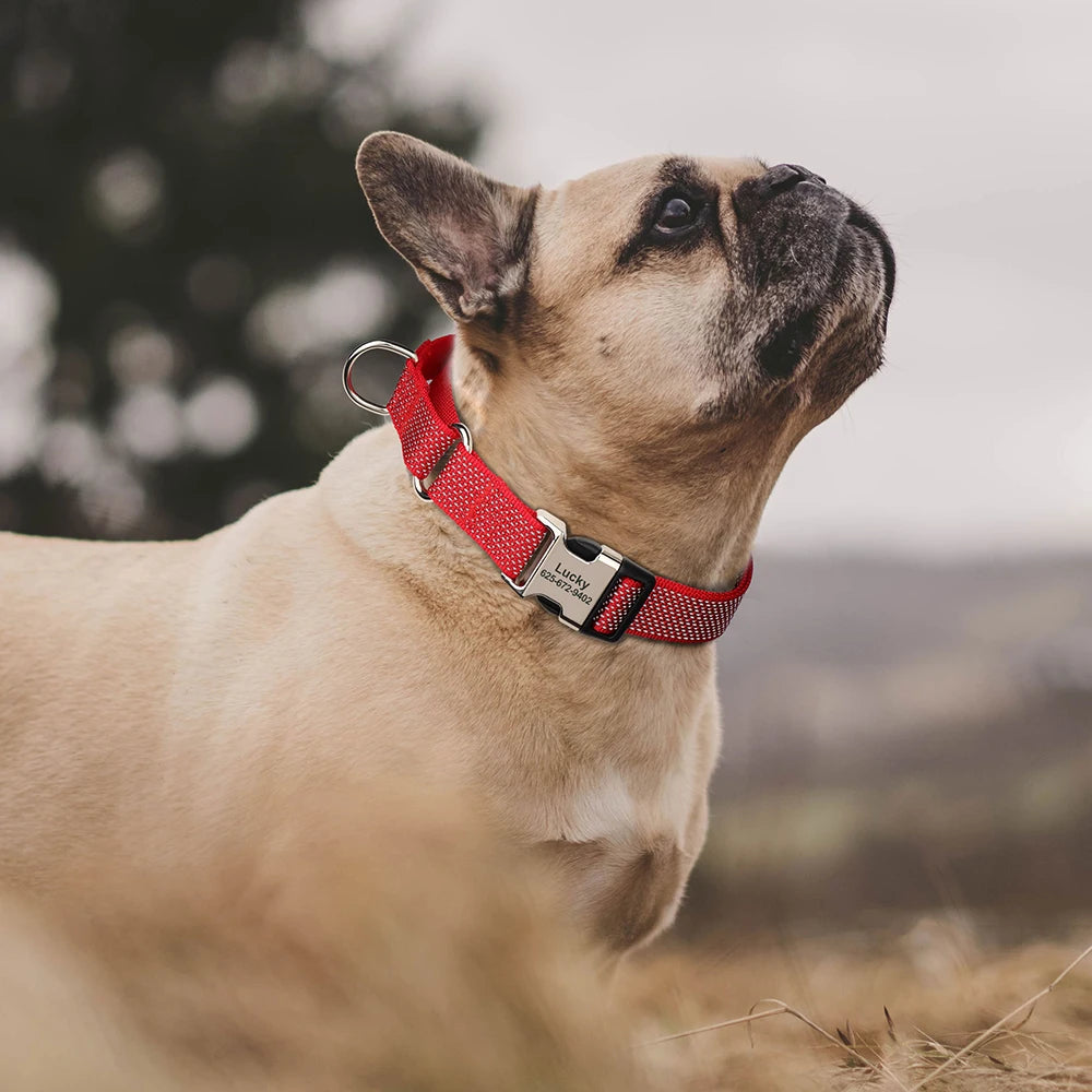 Custom Dog Martingale Collar Nylon Reflective Dog Collars With Engraving Metal Buckle Adjustable For Dogs Prevent Slipping Out