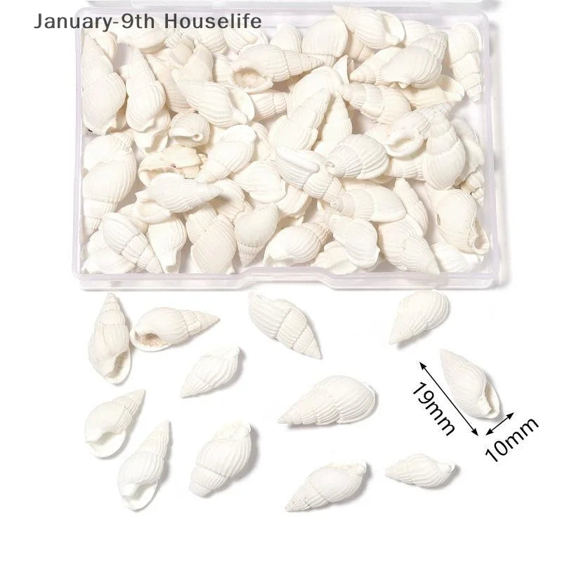 1 Box Sea Shells Spiral Shell Tiny Ocean Spiral Seashells Crafts Aquarium Decor Landscaping Accessories