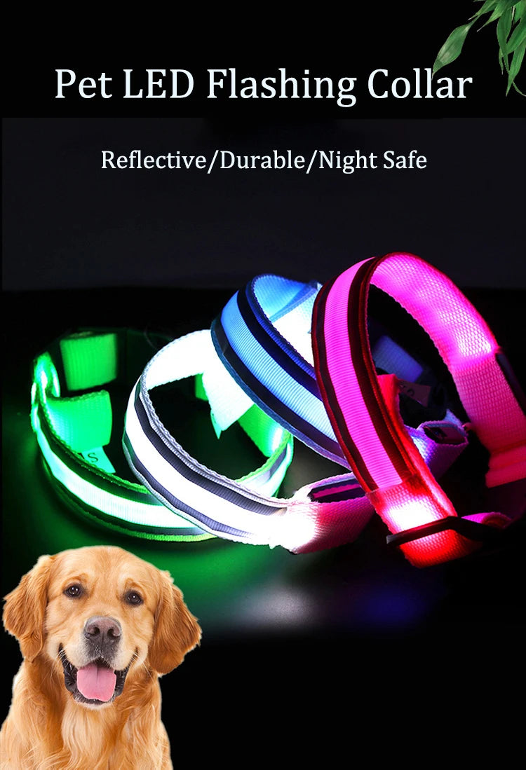 Reflective Dog Collar Luminous Night Safety Usb Rechargeable LED Dog Collar Light For Small Dogs Cat Pet Collar Para Perro XS-XL