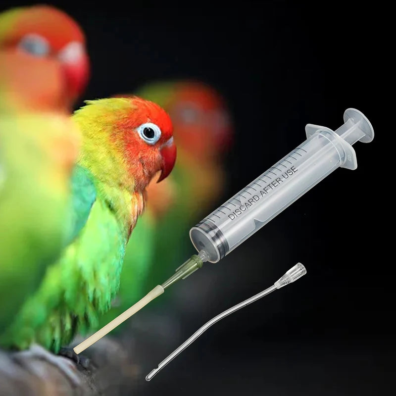 Bird Feeding Dropper Hose Small Pet Feeder Water Needle Tube Liquid Injection Hose Parrot Feeding Syringe Spoon Kits
