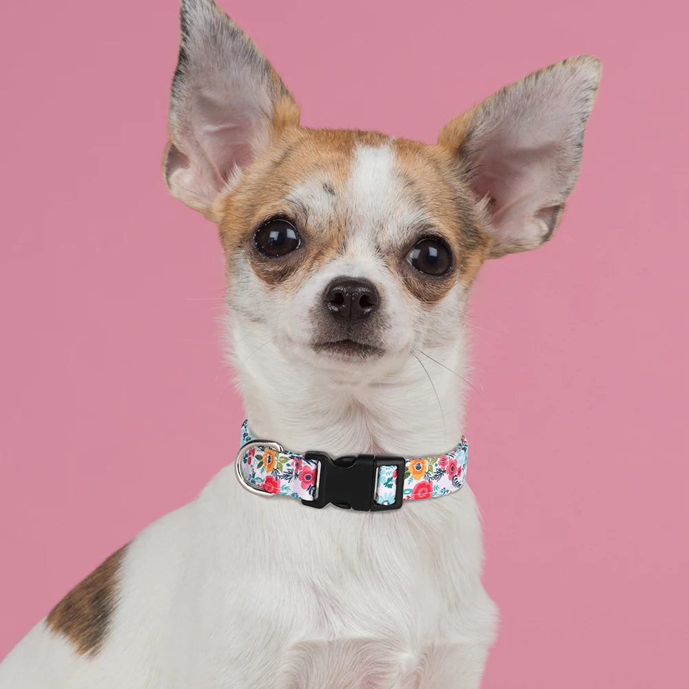 Nylon Dog Collar Cute Printed Dog Collars Spring Summer Pet Puppy Necklace Adjustable For Small Medium Large Dogs Chihuahua Pug