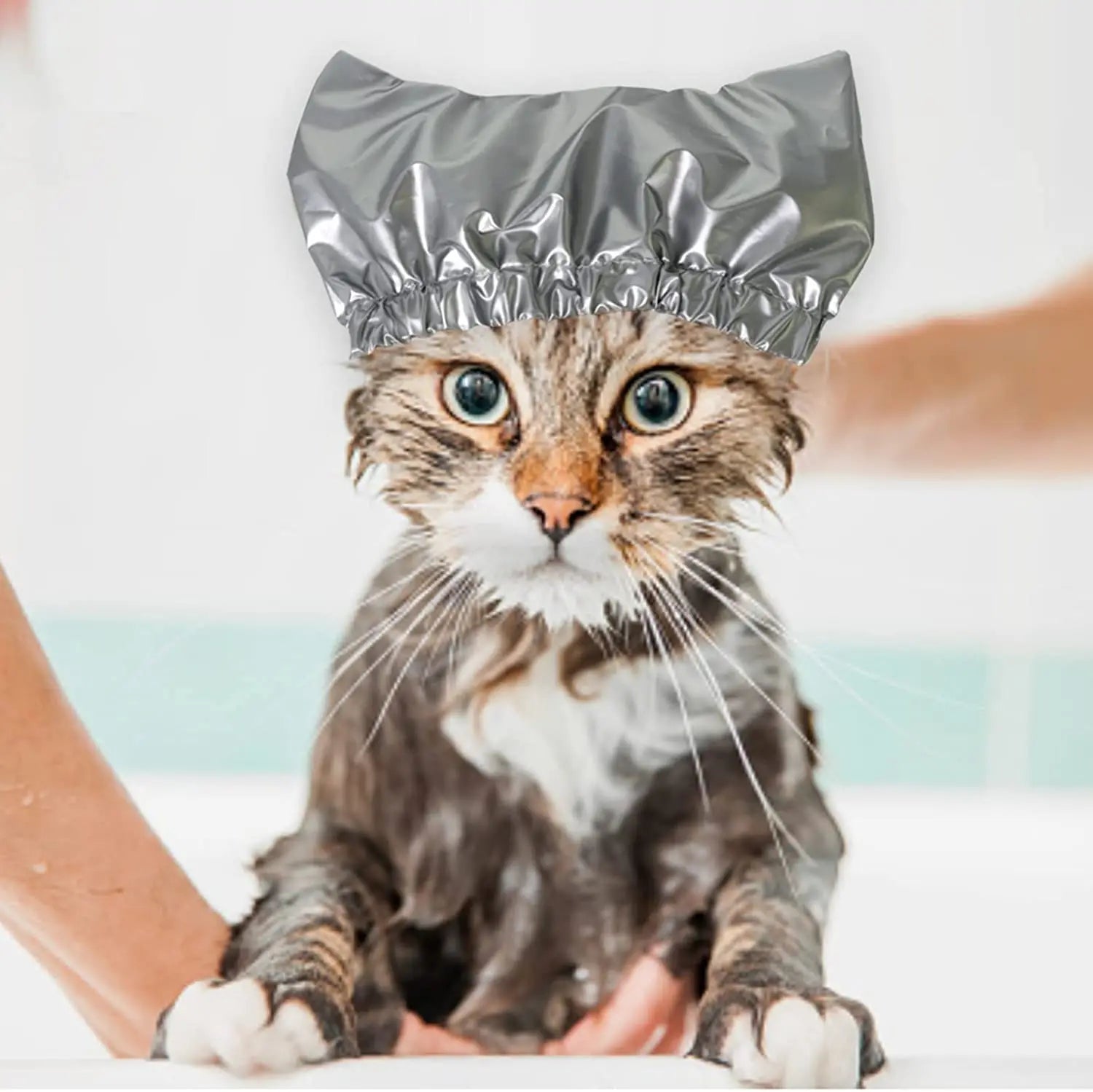 Bath shower cap Double-layer waterproof and anti-bubble cap for cats and dogs Fashionable and elegant pet items pet Clean tools