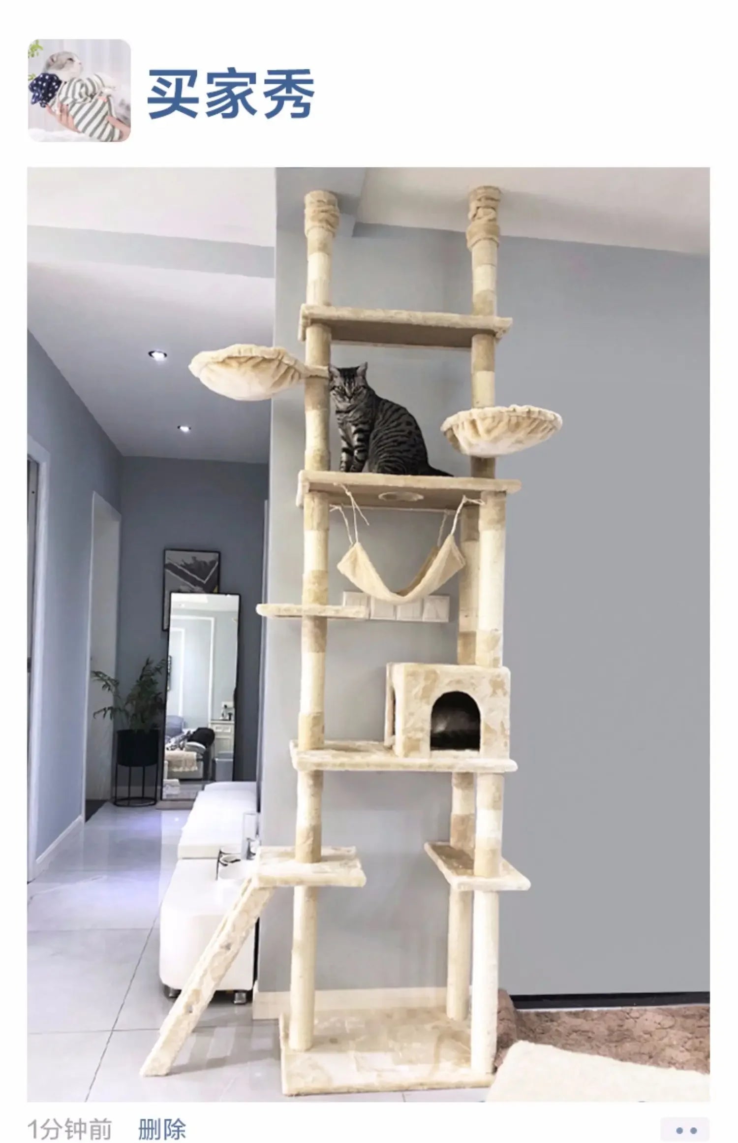Ceiling Cat Climbing Frame Sky Pillar Sisal  Jumping Platform  Rack Cat Nest  Tree Integrated Large  Climbing Frame