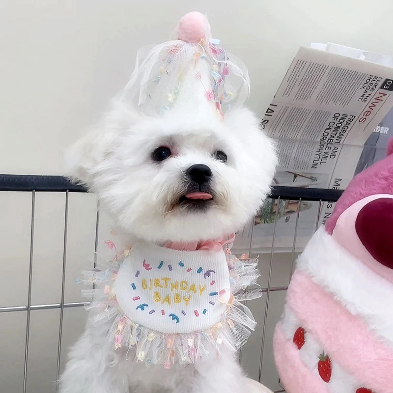 Pet Cat Dog Birthday Party Lace Suit Hat Scarf Dog Bib Saliva Towel Mesh Series Bear Birthday Jewelry Dress Up Accessories