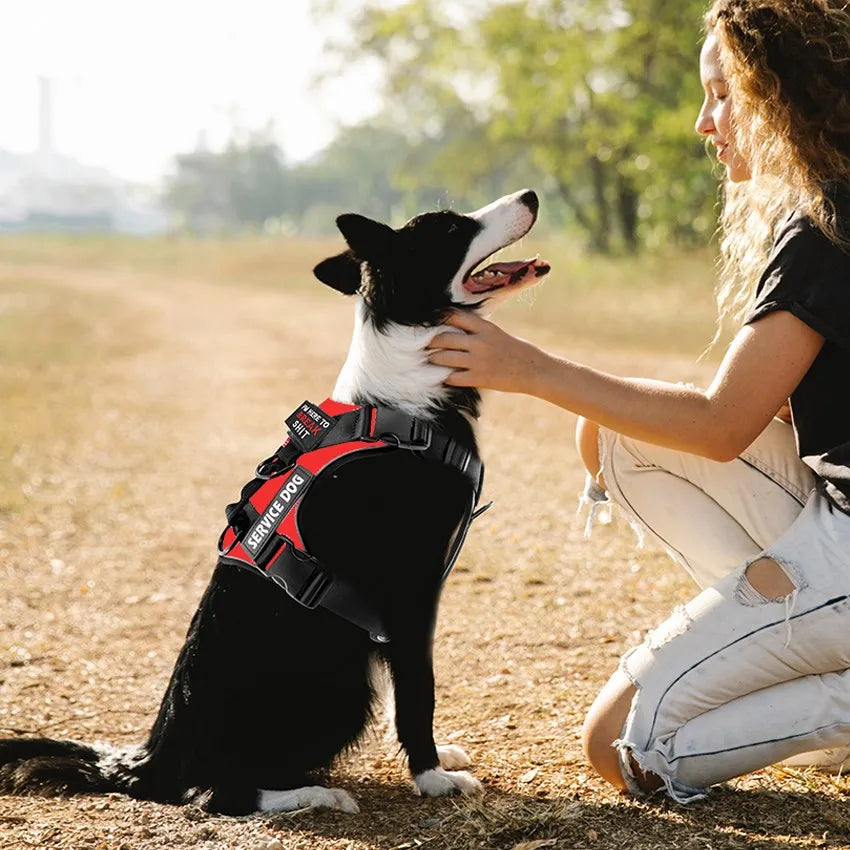 Reflective Pet Dog Harness No Pull Dog Vest Leash for Small Medium Large Dogs Walking Custom ID Tag Dog Accessories