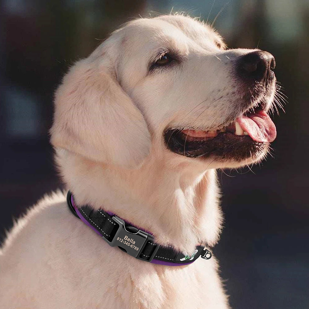 Reflective Personalized Dog Collar Engrave ID Nylon Collars Soft Padded Dogs Collar Adjustable for Small Medium Large Dogs Pug