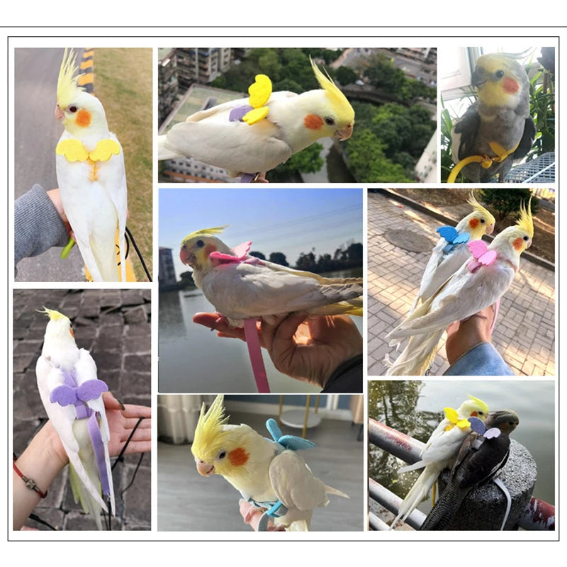 Adjustable Parrot Bird Harness Leash Set Anti-bite Training Harness Parrots Outdoor Flying Rope Cockatiel Small Birds Supplies