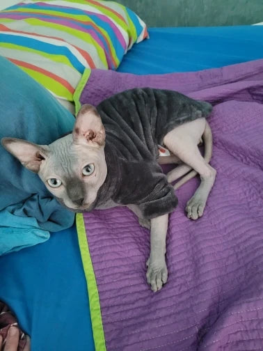 Fashionable Clothes For Cats Sphynx Cat Sweater Kitten Clothing Hound Dog Hoodie Clothes For Sphinx Cat Outfit Pet Jumpsuits