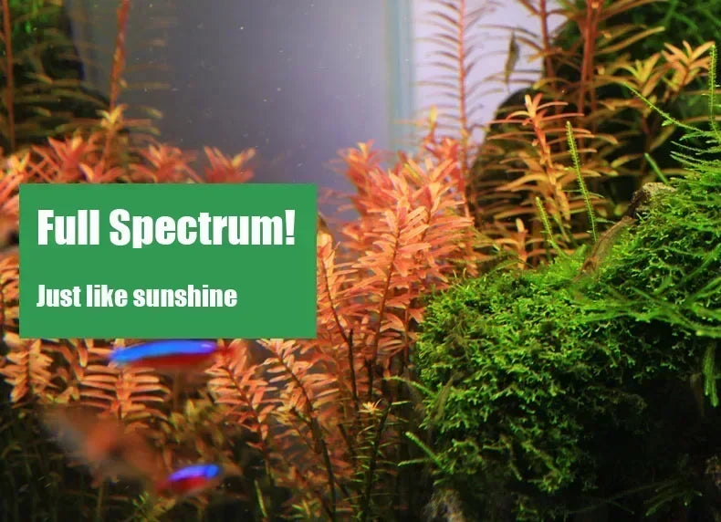 Chihiros C Series ADA Style Plant Grow LED Light Mini Nano Clip Aquarium Water Plant Fish Tank New Arrived!