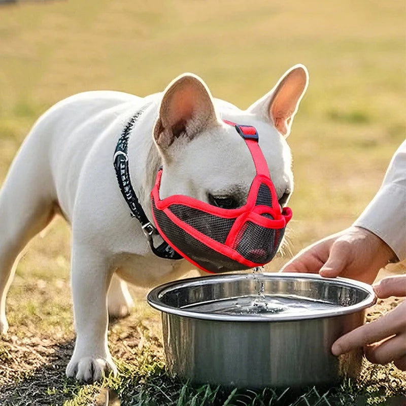 Adjustable Pet Dog Muzzle Breathable Pet Mouth Mask for Small Medium Large Dogs French Bulldog Anti-biting Muzzle Dog Accessory