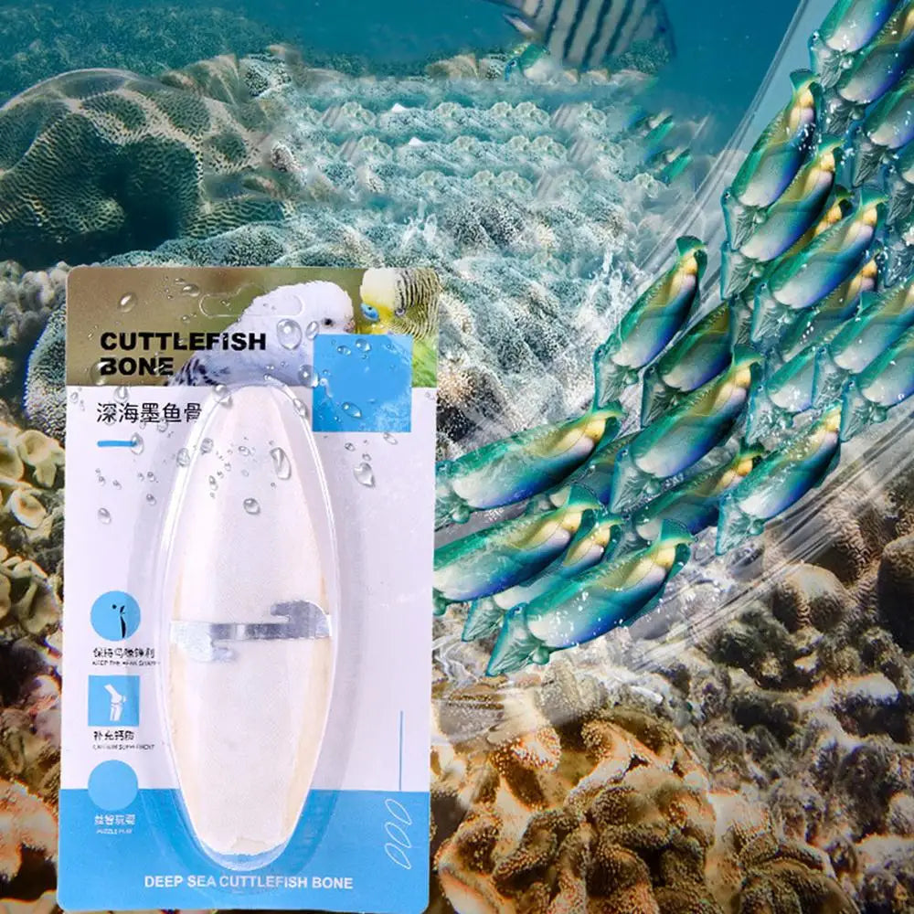 Bird Cuttle Bone Pet Grinding Cuttlefish Bone Natural Cuddle Bone Parrot Chew Toys Chewing Cuttlefish Bone Bird Cuttlebone