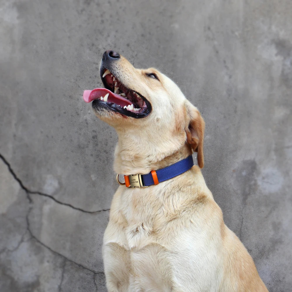 Custom Nylon Dog Collar Durable PU Leather Dog Collars Necklace Personalized Pet ID Collars for Small Medium Large Dogs Party