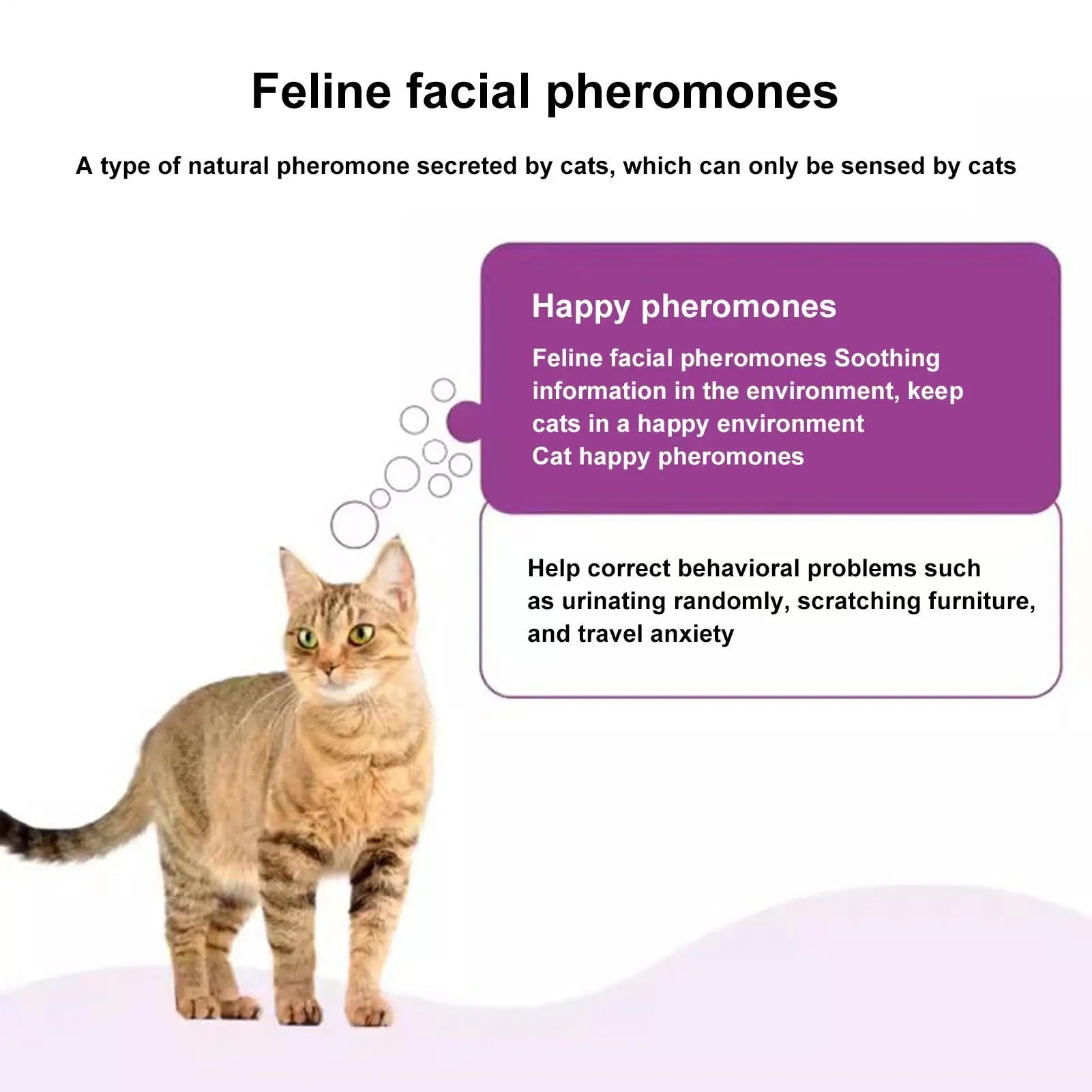 Cat Pheromone Diffuser Calming Pheromone Diffuser For Cats Plug Supplies Ease Sleep Anti Stress Comfort For Indoor Kitten Travel