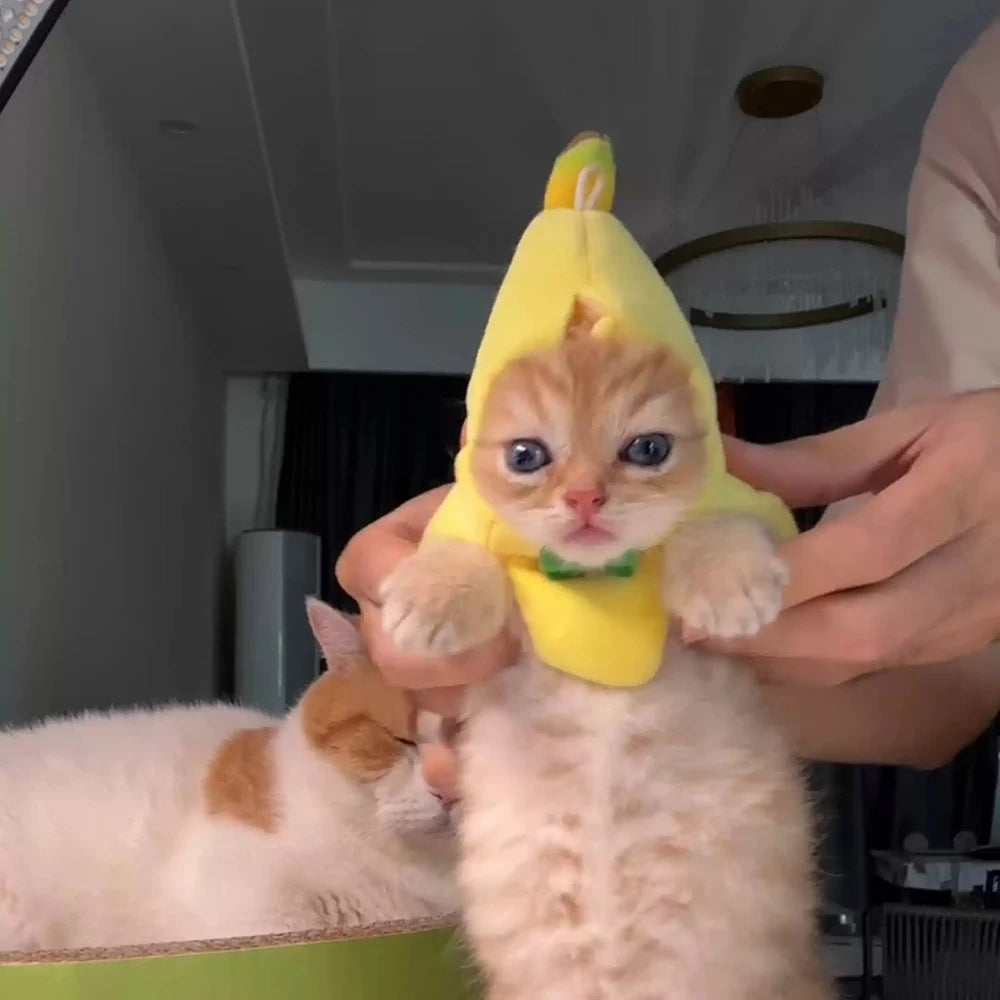Banana Cat meme Mini Headset Cute Cat Prop Hat Banana Cat Kitten Pet Bowknot Clothing Cute Accessories