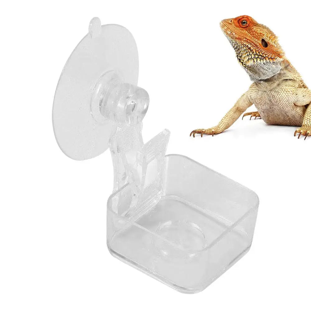 Reptile Feeder Reptile Feeder With Suction Cup Habitat Decoration Pet Water Container Tray For Lizards Spider Tree Frogs