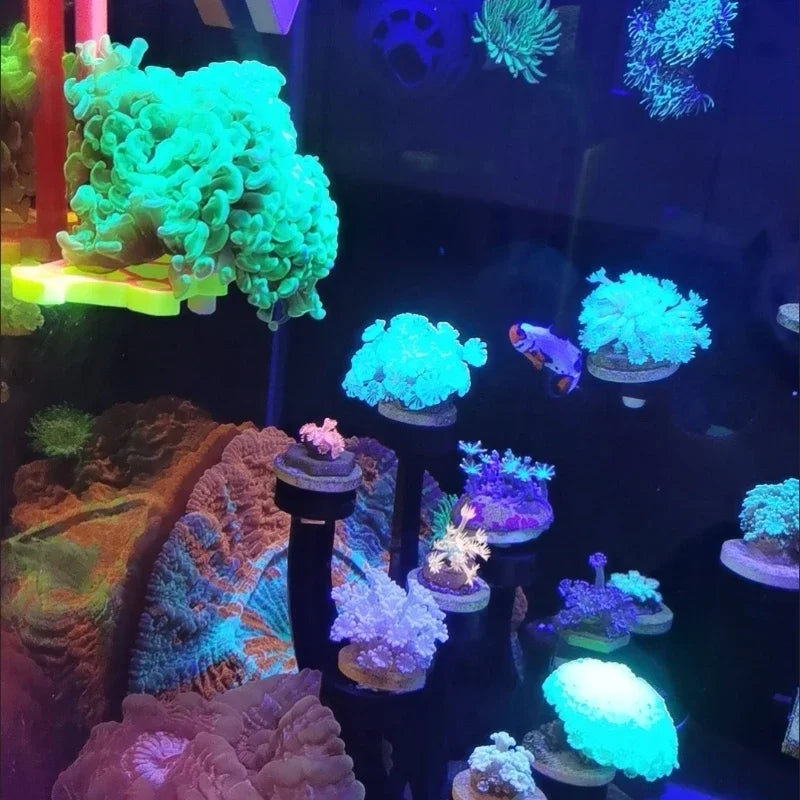 SPS Coral Frag Rack Holder Coral Bracket Luminous Marine Reef Stand Fish Tank Decorations Aquarium Accessories