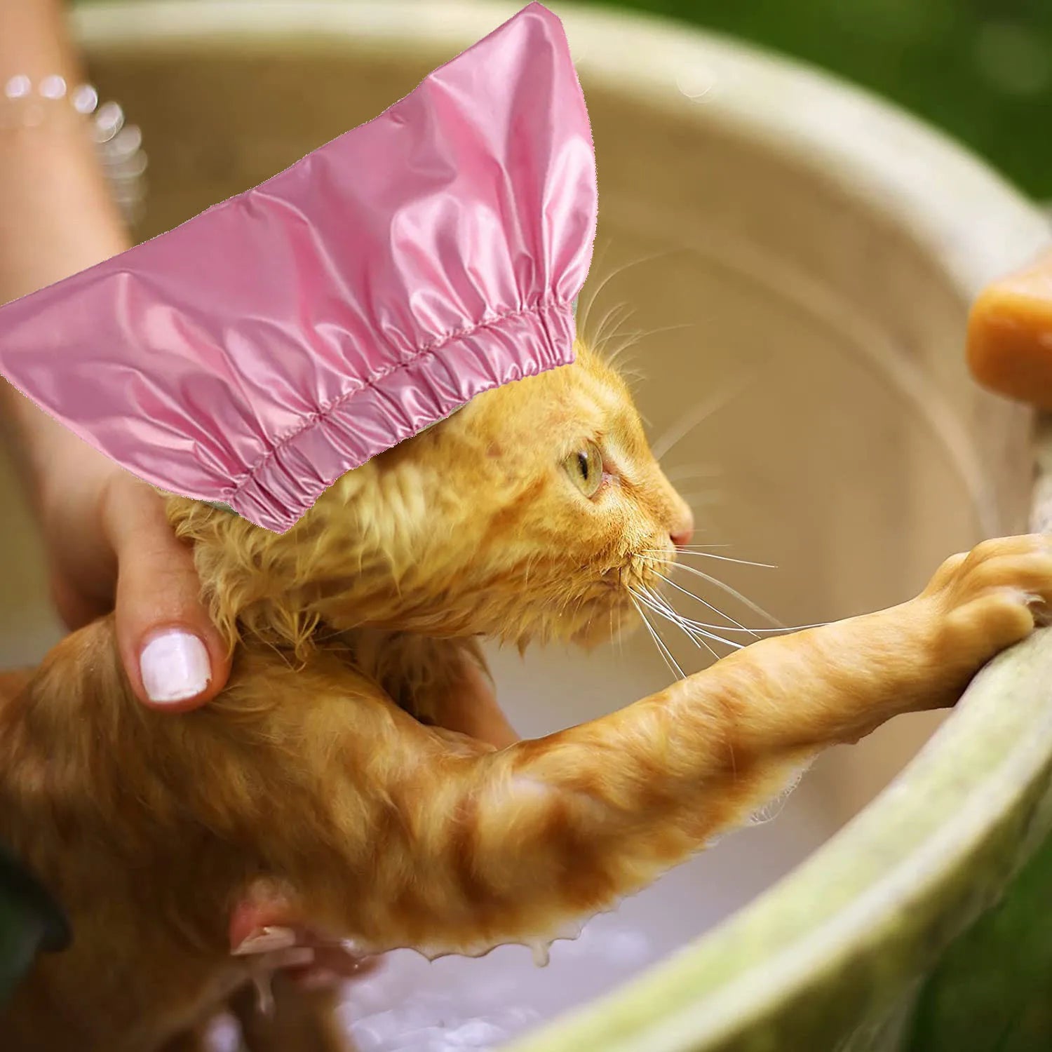 Bath shower cap Double-layer waterproof and anti-bubble cap for cats and dogs Fashionable and elegant pet items pet Clean tools